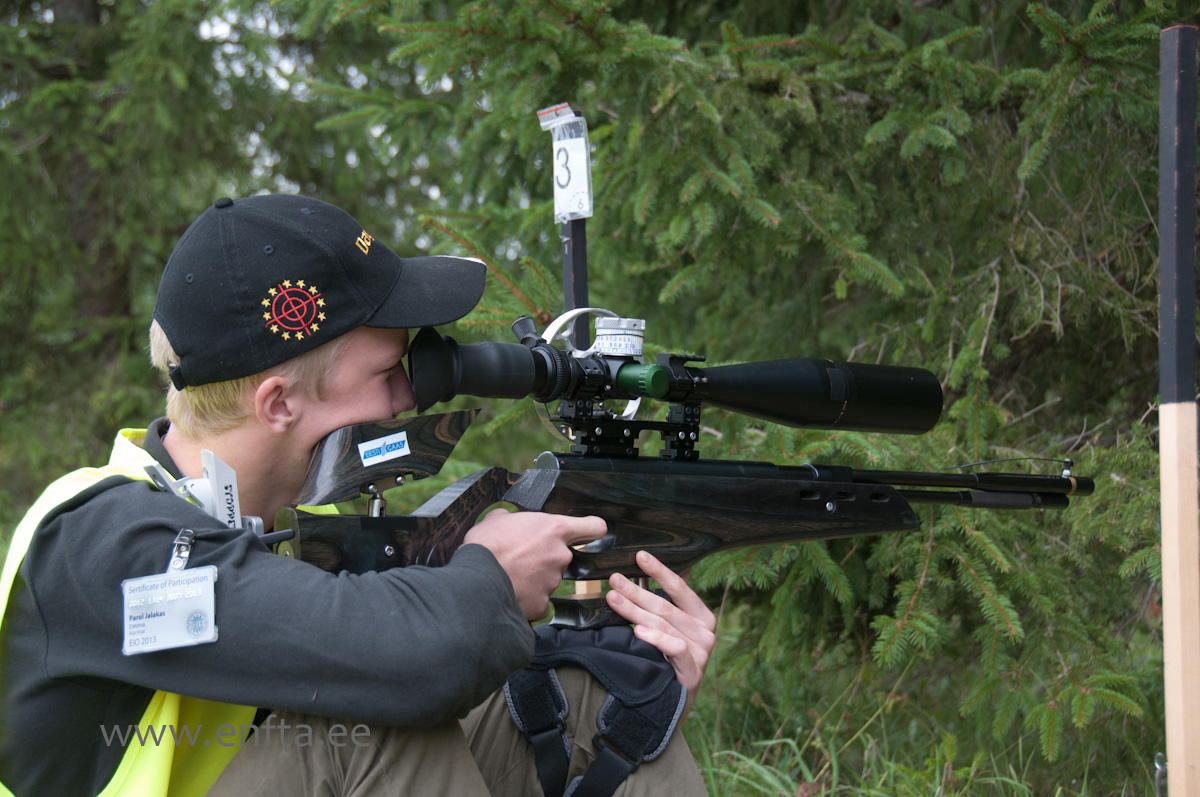 Parol Jalakas EE, Weihrauch HW 97 KT, Nikko Stirling Diamond 10-50x60